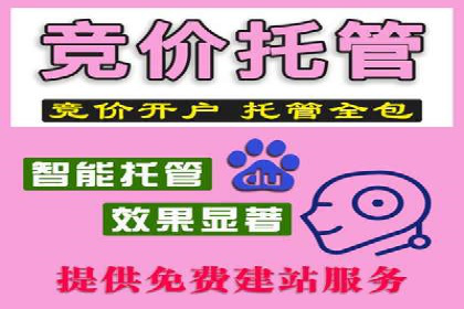 搜索引擎营销（SEM）在电商行业的投放策略案例